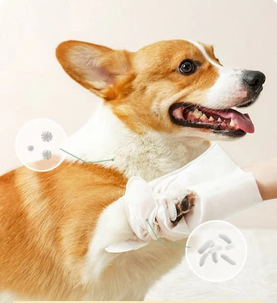 Deodorizing Pet Glove Wipes For Dogs（6Pcs） - Image 6