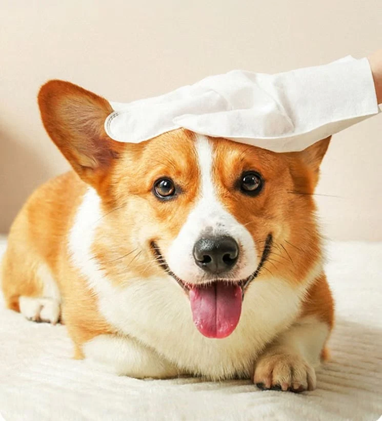 Deodorizing Pet Glove Wipes For Dogs（6Pcs） - Image 7