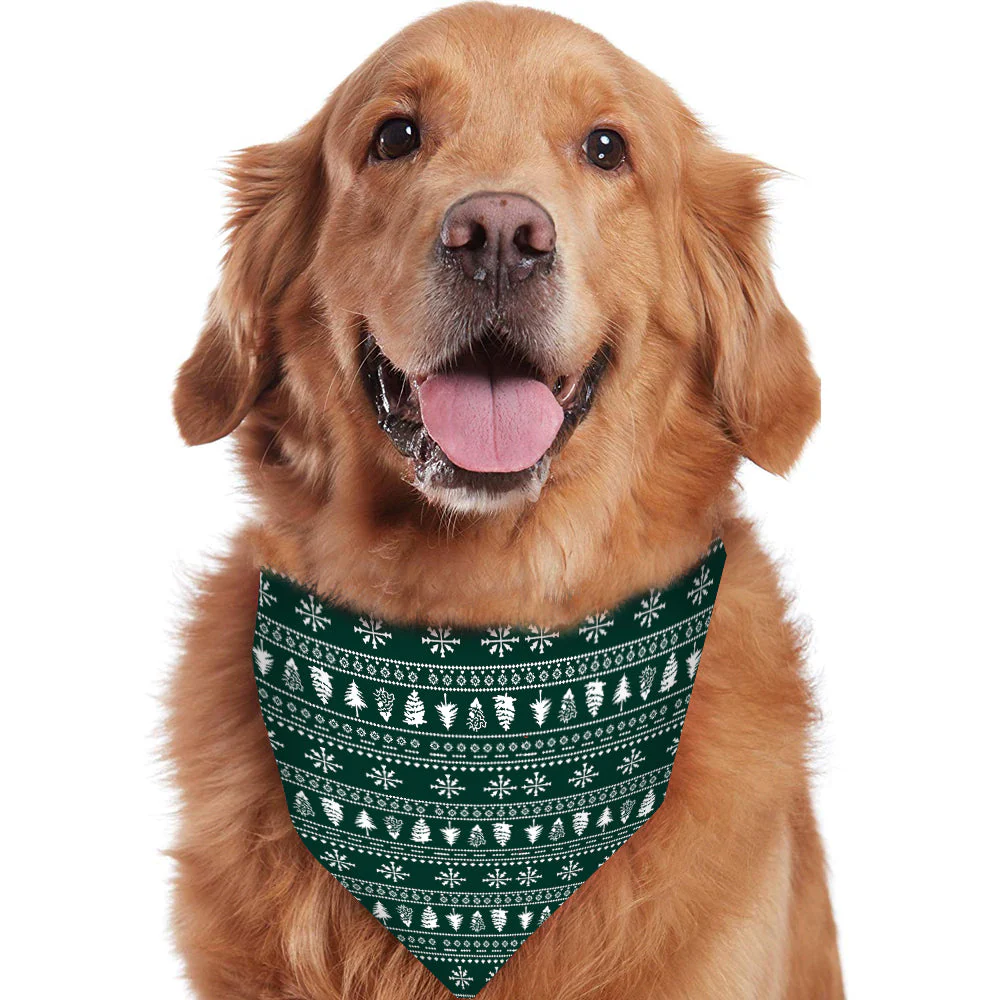 Green Christmas Tree Matching Family Christmas Pajamas-Dog Pajamas Included - Image 4