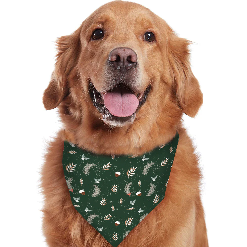 Green Christmas Tree Matching Family Christmas Pajamas-Dog Pajamas Included - Image 4
