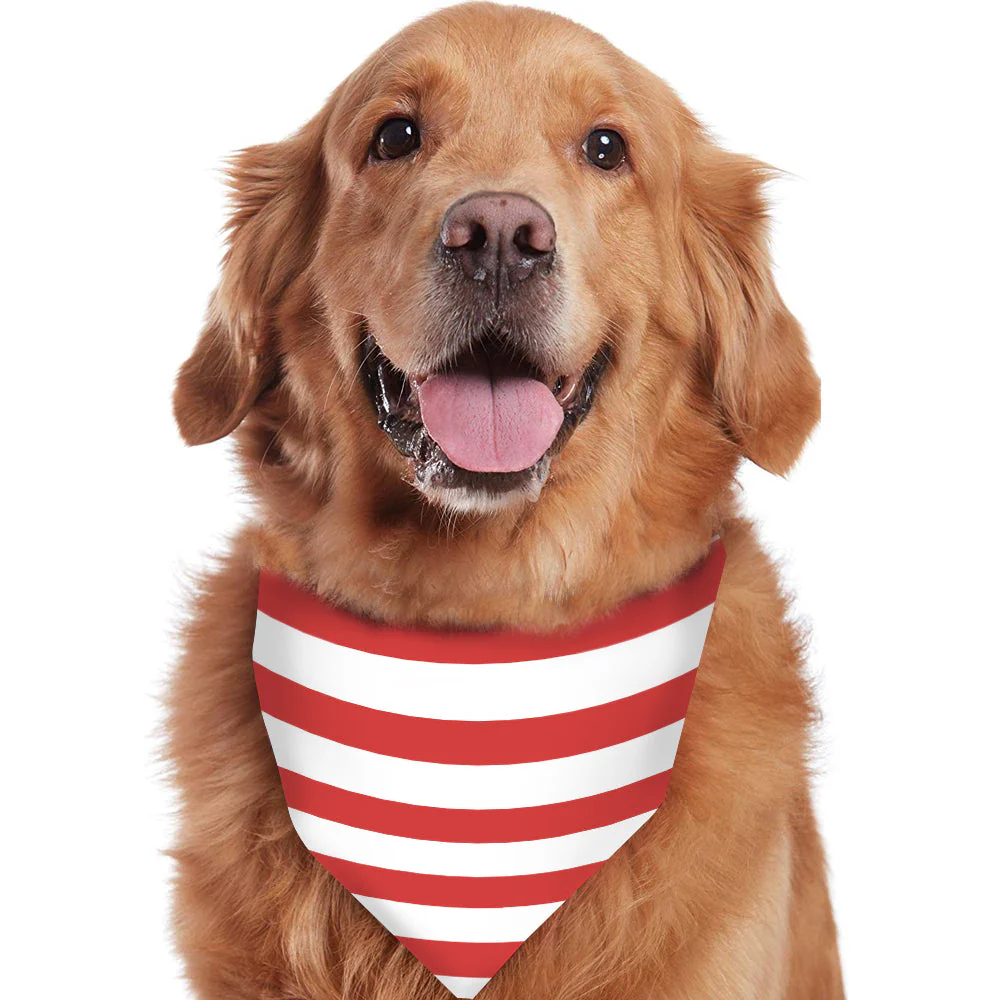 Red and White Stripe Round Collar Matching Family Christmas Pajamas-Dog Pajamas Included - Image 3