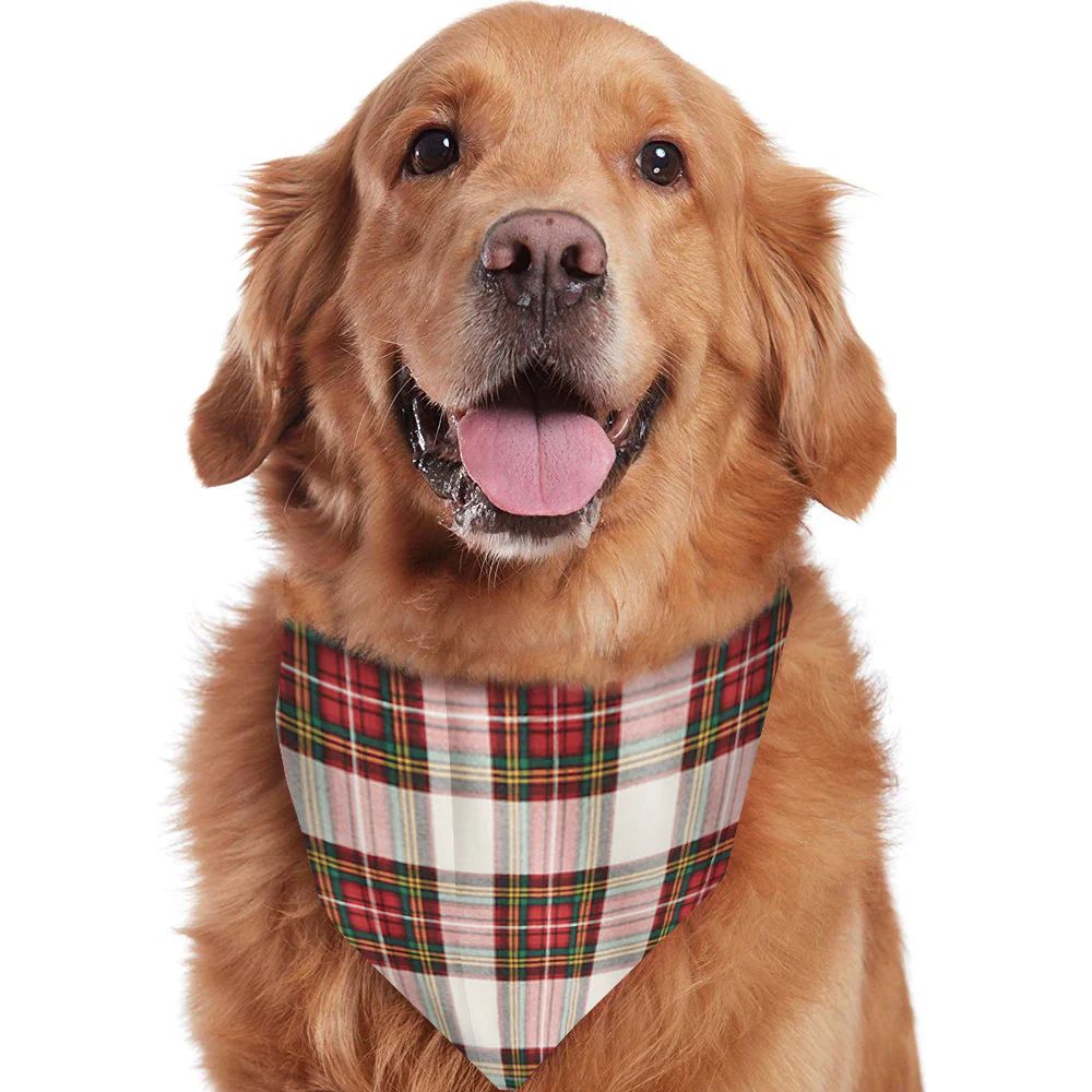 Tartan Plaid Matching Family Christmas Pajamas-Dog Pajamas Included - Image 5